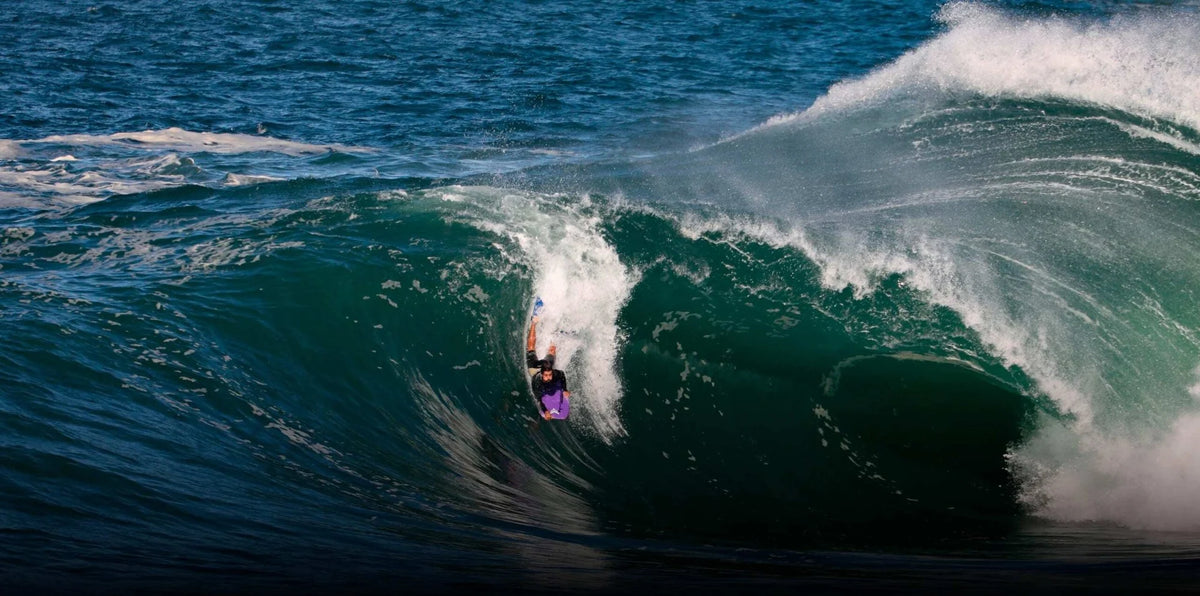Fenix Boards