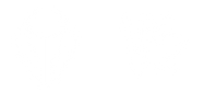 NMD & VS